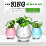 Smart Festival Gift Flower Pot, Play Piano on a Real Plant.