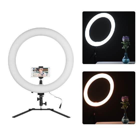 18" LED Ring Light Camera Kit - SnapZapp