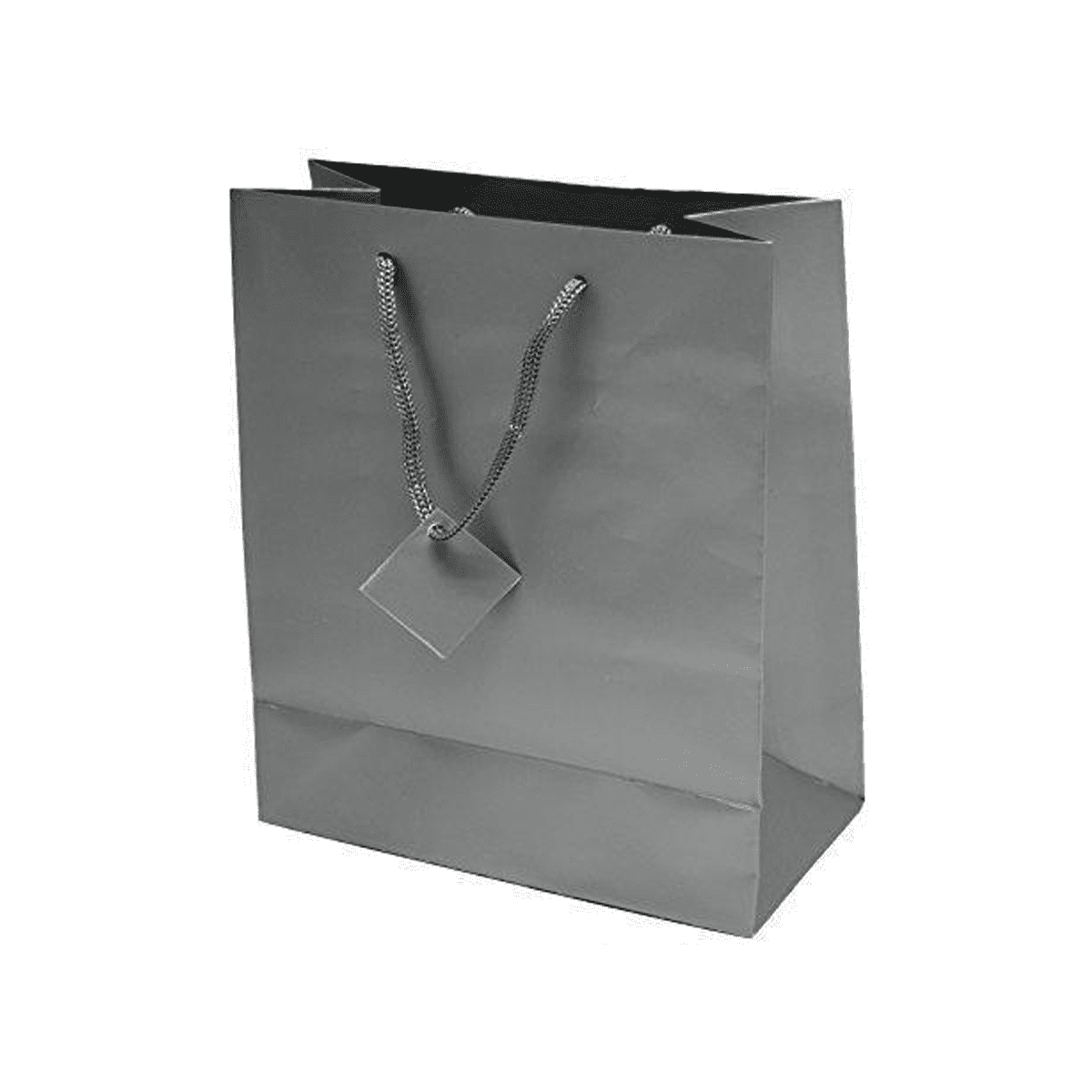 Matte Laminated  Paper Gift Bag Bundle 8"X4"X10" (12 Pcs Pack)