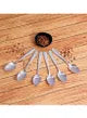 6-Piece Dessert Spoon Silver