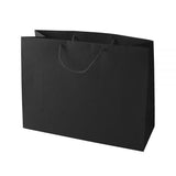 Glossy Heavy Paper Bag  Perfect for  Kid’s Birthdays, (10 Piece Pack)