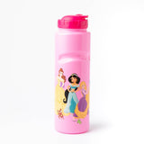 Disney Princess Water Bottles
