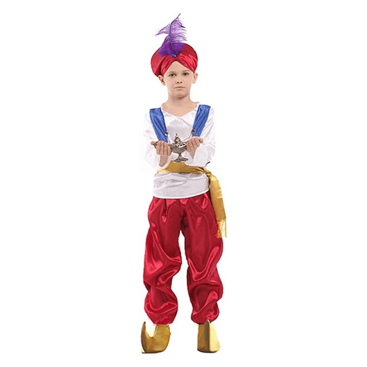 Aladdin Suit Hat Boy's Arabian Prince Costume (Large)