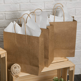 Large Kraft Paper Bags - (12 Pc Pack ) - SnapZapp